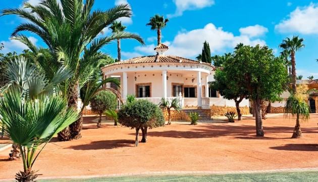 Resale -  - Catral - Catral - Country