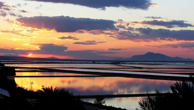 Nouvelle construction - Appartement - Gran Alacant