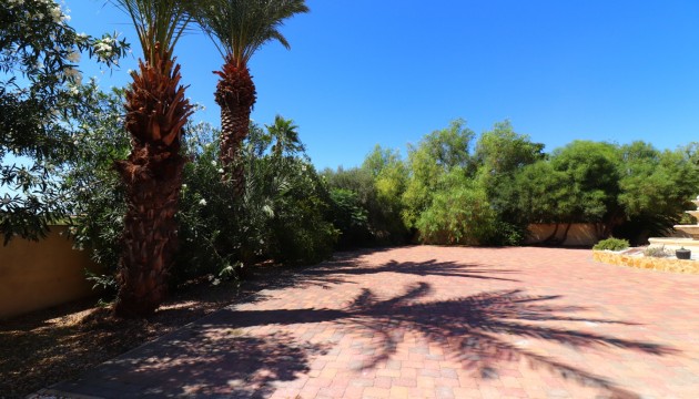 Venta -  - Catral - Catral - Country