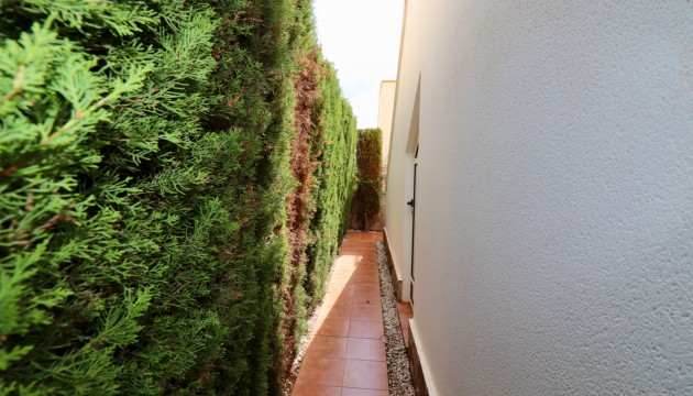 Sale - Villas - Guardamar - El Raso
