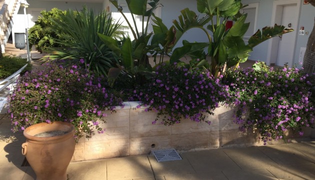 Sale - Apartment - Benissa - La Fustera