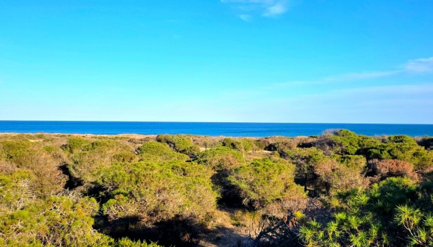 Revente - Appartement - Guardamar - Pinomar