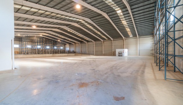 Location longue durée -  - Pilar de la Horadada - Polígono industrial Cañada de Práez