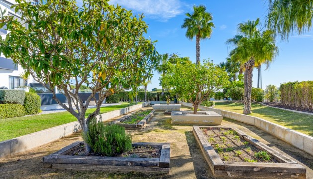 Revente - Appartement - Los Dolses