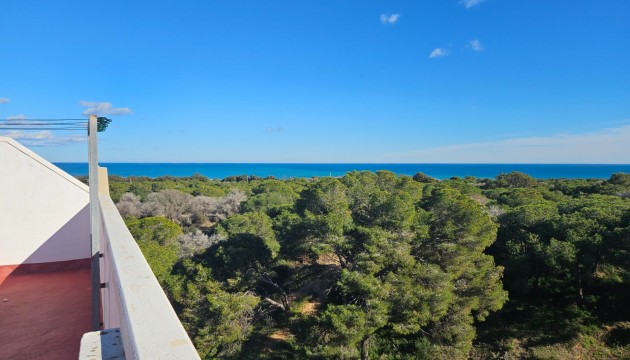 Sale - Apartment - Guardamar - Guardamar del Segura