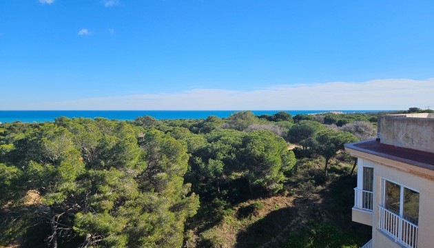 Sale - Apartment - Guardamar - Guardamar del Segura