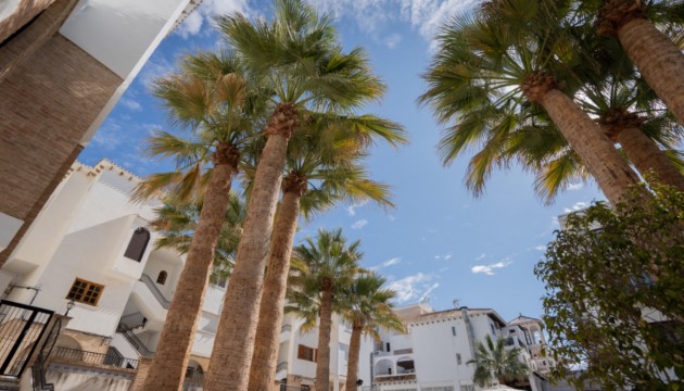 Sale - Apartment - Villamartin