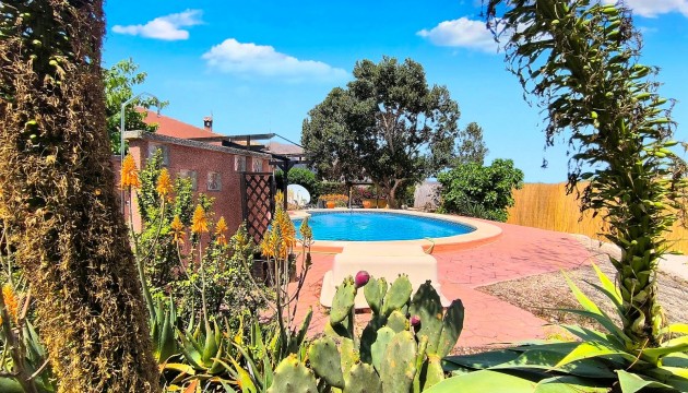 Revente - Villas
 - Orihuela