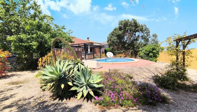 Revente - Villas
 - Orihuela