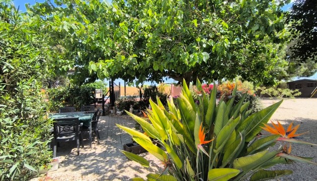 Revente - Villas
 - Orihuela