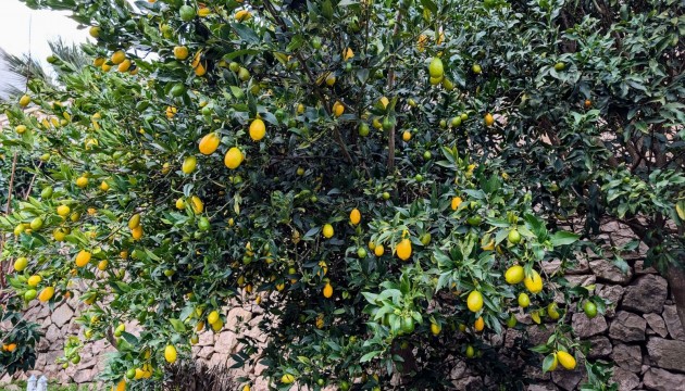 Sale - Villas - Benissa - Fanadix