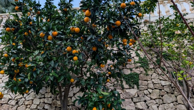 Sale - Villas - Benissa - Fanadix