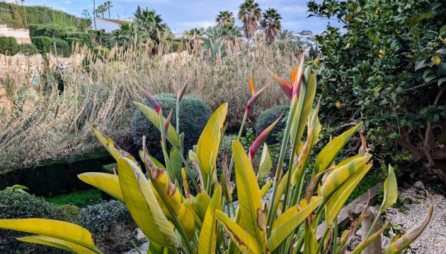 Sale - Villas - Benissa - Fanadix