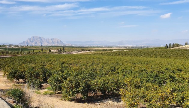 New Build - Villas - Algorfa