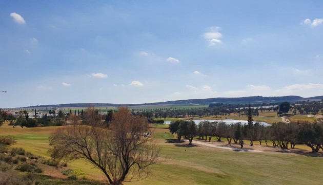 New Build - Villas - Algorfa