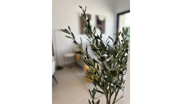 Nouvelle construction - Appartement - San Fulgencio