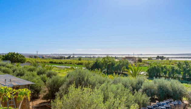 Sale - Villas - Los Montesinos