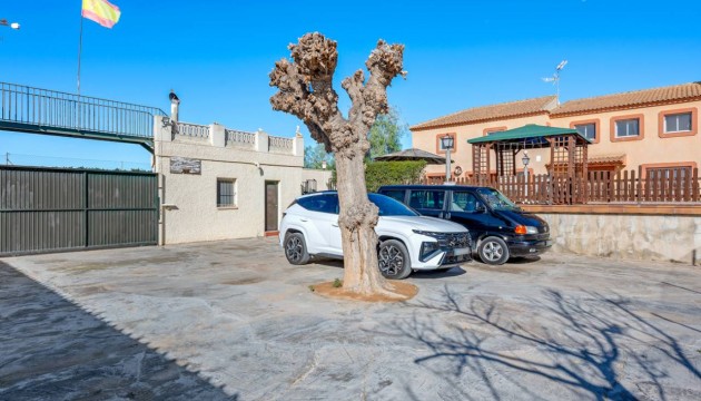 Sale - Villas - Los Montesinos