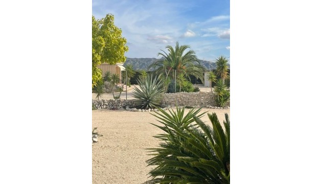 Sale - Villas - Abanilla