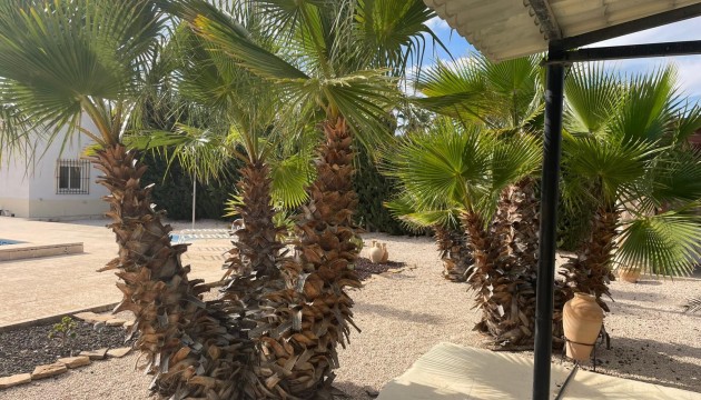 Sale - Villas - Abanilla