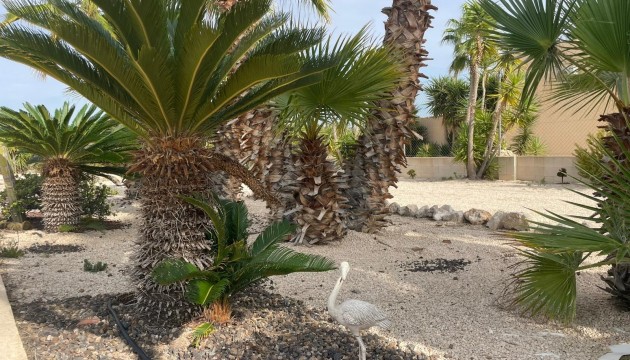 Sale - Villas - Abanilla