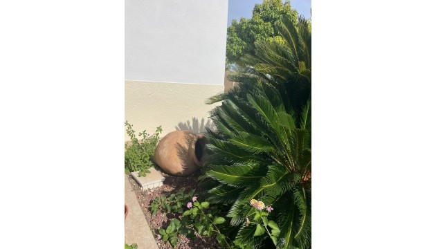 Sale - Villas - Abanilla