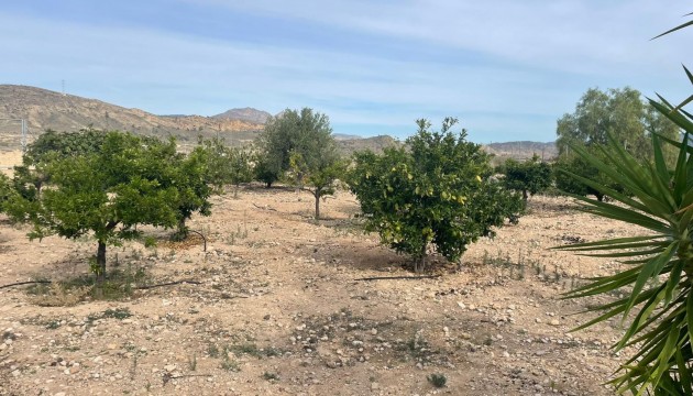 Sale - Villas - Abanilla