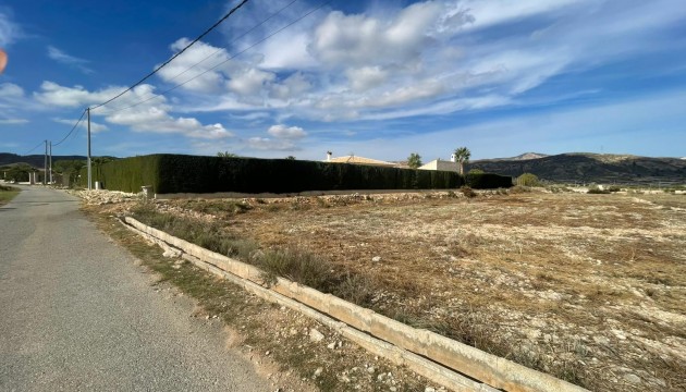 Sale - Villas - Abanilla