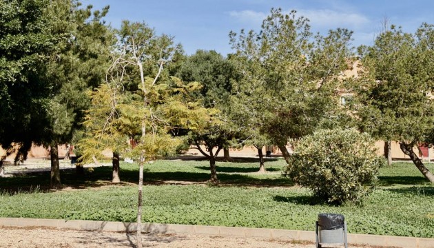 Revente - Appartement - Torrevieja