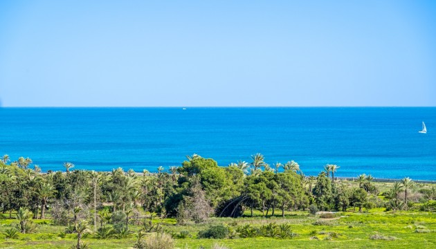 Resale - Wohnung - Punta Prima - Punta prima