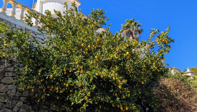 Sale - Villas - Benissa - Fanadix