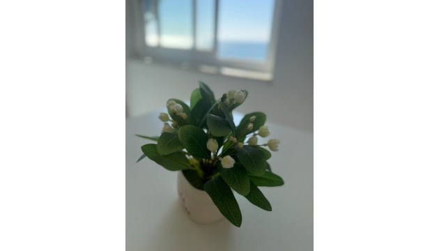 Resale - Wohnung - Santa Pola