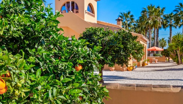 Revente - Villas
 - Rafal