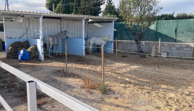 Venta - Villas
 - Crevillente