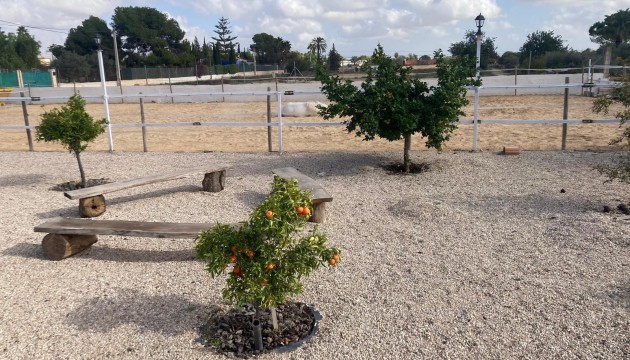 Venta - Villas
 - Crevillente