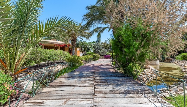 Sale - Villas - Elche/Elx