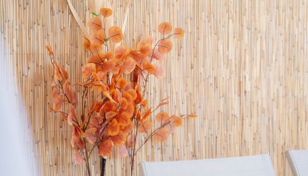 Revente - Appartement - Punta Prima - Punta prima