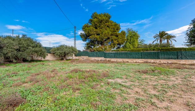 Revente - Villas
 - Elche/Elx