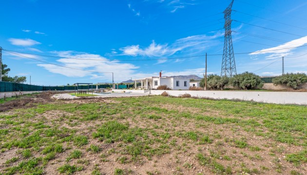 Revente - Villas
 - Elche/Elx