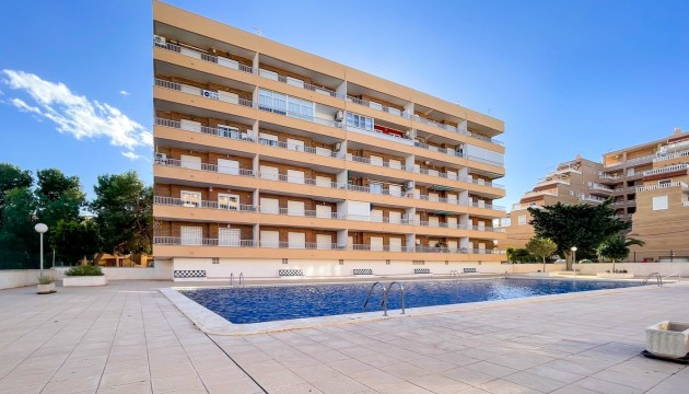 Revente - Appartement - Punta Prima - Punta prima