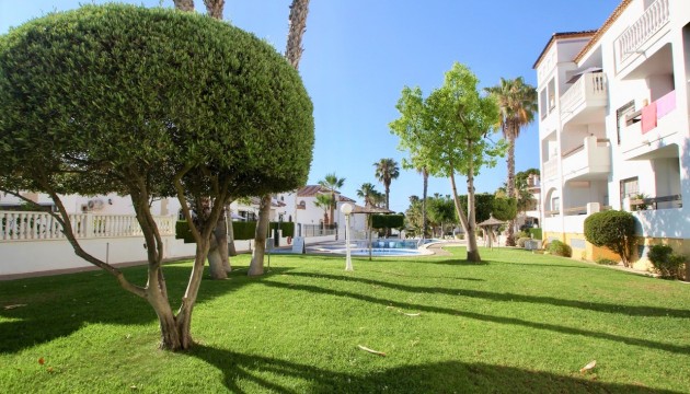 Sale - Apartment - Villamartin - Villamartín