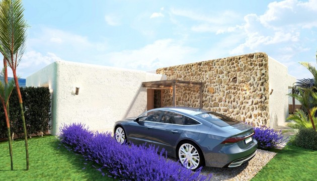 Nouvelle construction - Villas
 - Pinoso - Rodriguillo