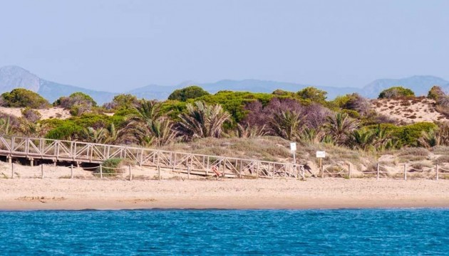 Nueva construcción  - Apartamento - Guardamar - Pueblo