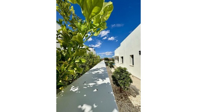 New Build - Villen
 - Benijofar - Pueblo