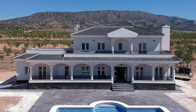 New Build - Villas - Pinoso - Camino Del Prado