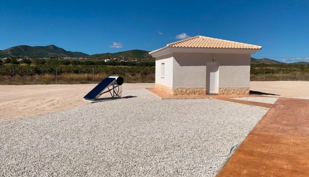 New Build - Villas - Pinoso - Camino Del Prado
