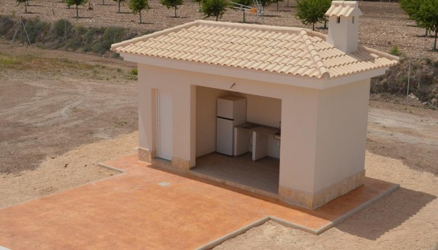 New Build - Villas - Pinoso - Camino Del Prado