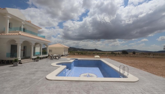 New Build - Villas - Pinoso - Camino Del Prado