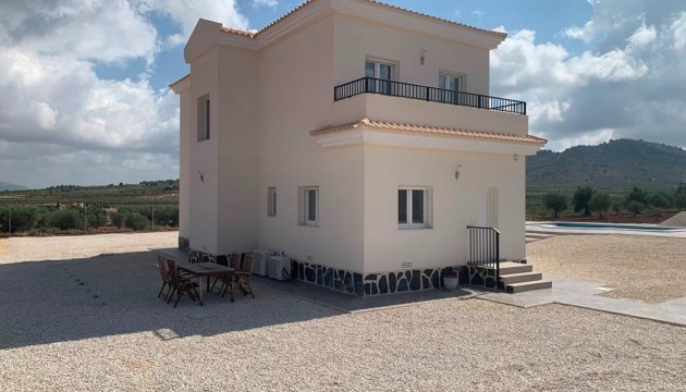 New Build - Villas - Pinoso - Camino Del Prado