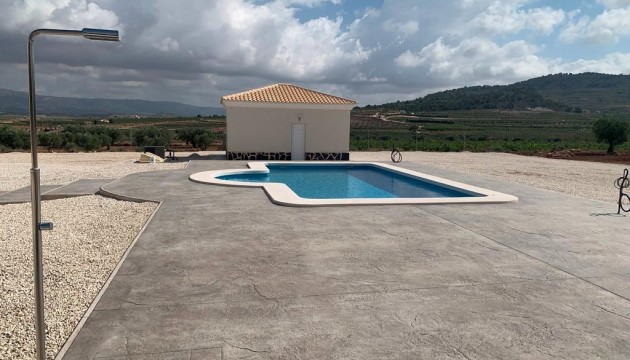 New Build - Villas - Pinoso - Camino Del Prado